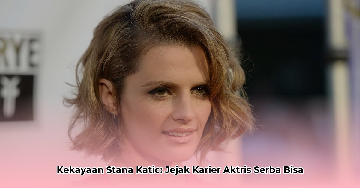 stana katic net worth